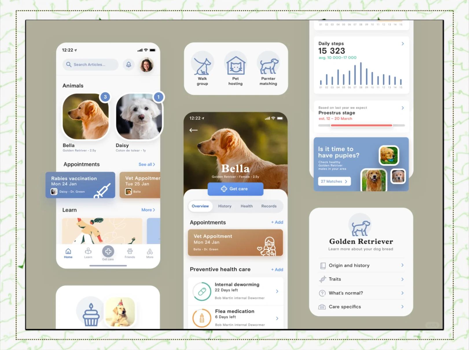 宠物APP开发怎么做？